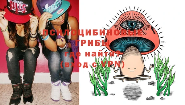 крисы Балахна