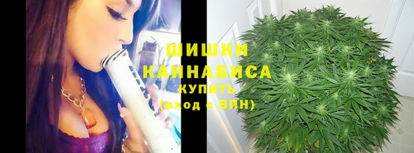 крисы Балахна